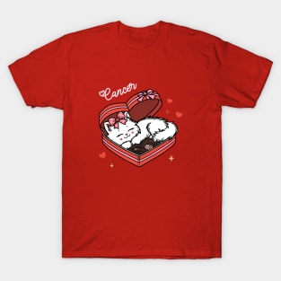 Cancer Sassy Valentines Kitty T-Shirt